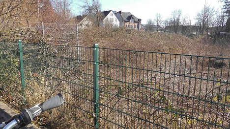 Am-Stadtholz-4.JPG
