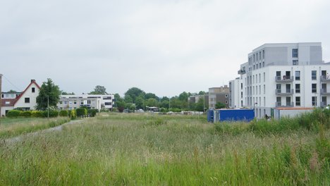 Linie_3_und_4.jpg